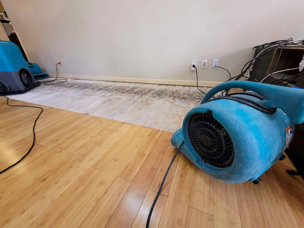 Professional Water Damage Repair technician working in San Luis Obispo, CA